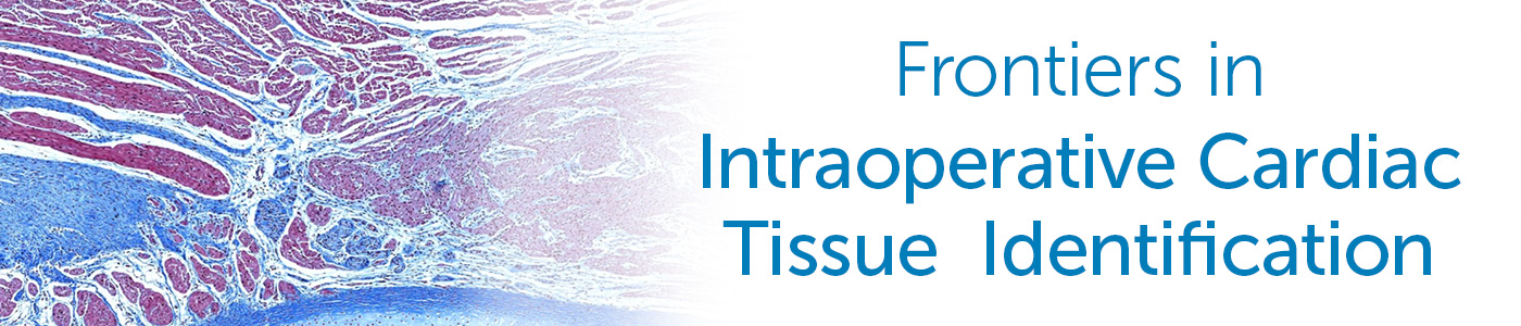 Frontiers in Intraoperative Cardiac Tissue Identification Banner